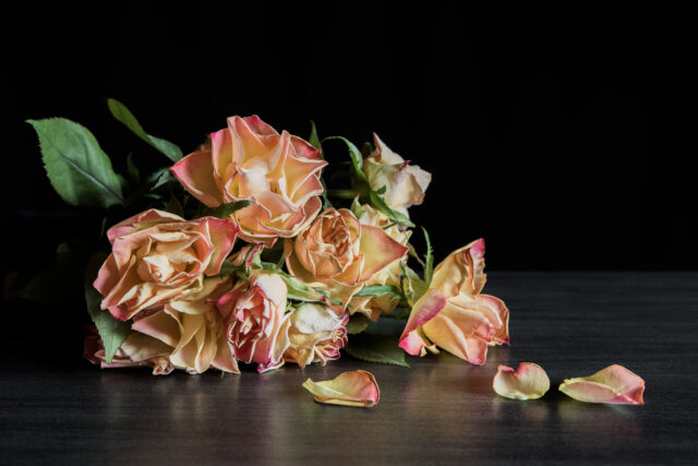 bouquet withered flowers